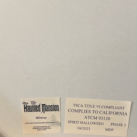 Disney Haunted Mansion Canvas 24” X 18” - Picture 4 of 4